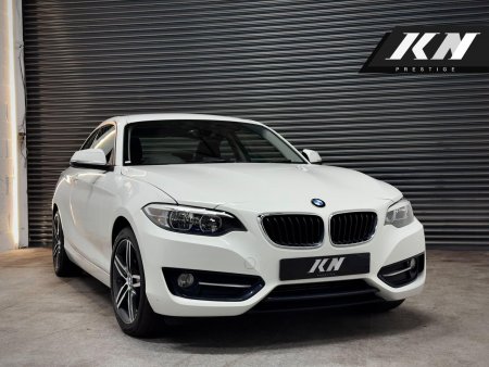 BMW 2 SERIES 2.0 218d Sport Auto Euro 6 (s/s) 2dr